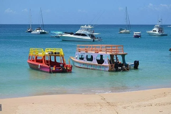 Colorful tour boats anchored near a sandy beach with yachts in the distance.