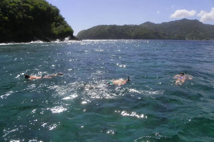 Three people snorkeling in clear water near a rocky, tree-lined coast.